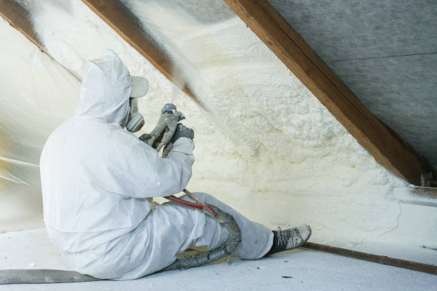 Professional Insulation Services in Elgin, MN