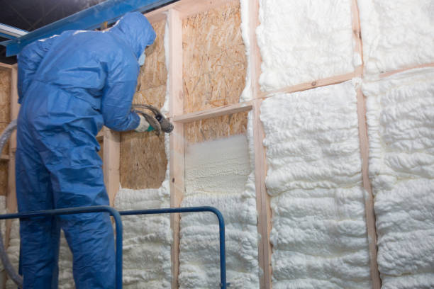 Best Fireproof Insulation  in Elgin, MN